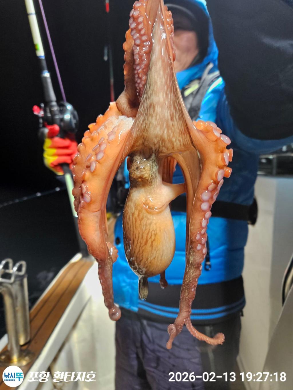 낚시뚜,돌문어,한치,포항 동빈항,포항 환타지호,낚시뚜5