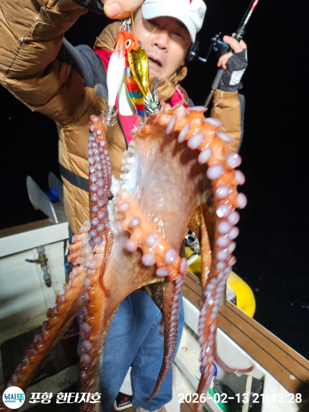 낚시뚜,돌문어,한치,포항 동빈항,포항 환타지호,낚시뚜2