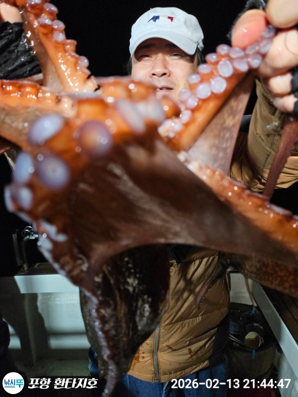 낚시뚜,돌문어,한치,포항 동빈항,포항 환타지호,낚시뚜1