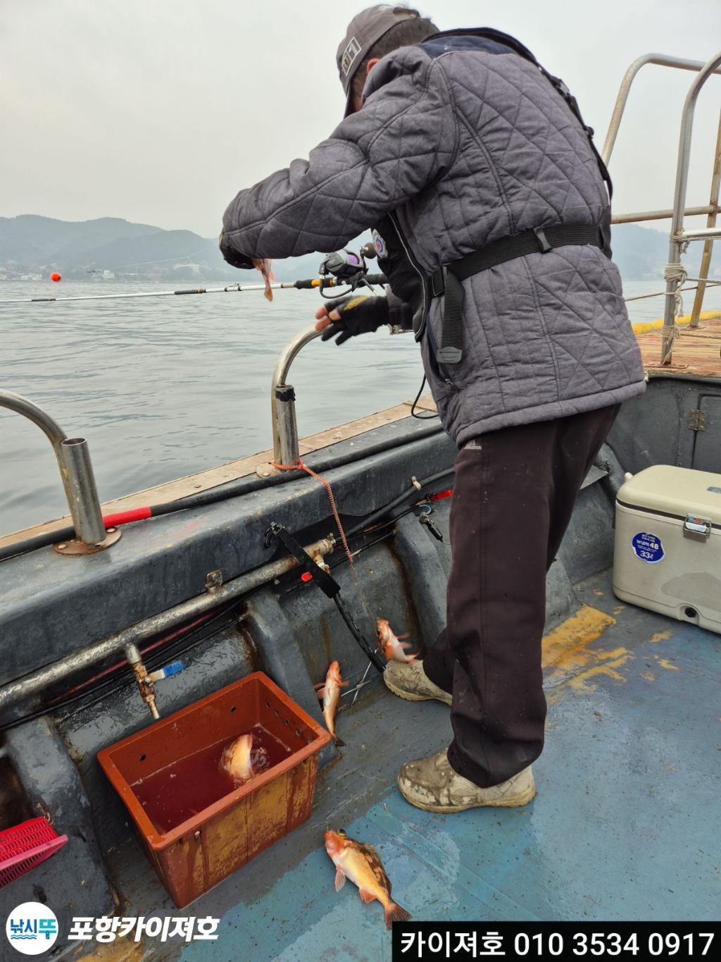 낚시뚜,열기,영일만항,포항카이져호,낚시뚜13