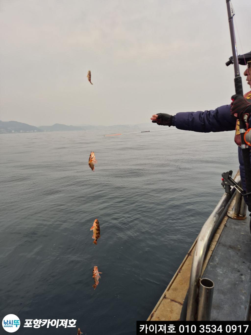 낚시뚜,열기,영일만항,포항카이져호,낚시뚜0