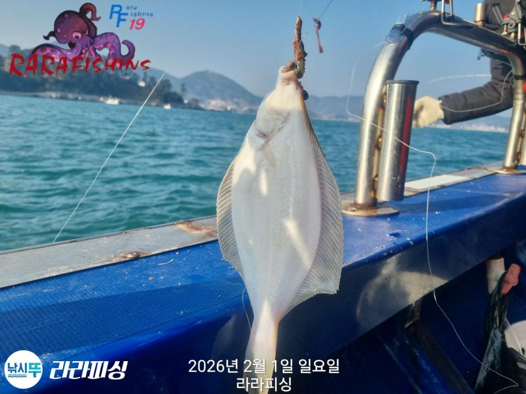 낚시뚜,도다리,속천항(진해),라라피싱,낚시뚜4