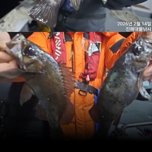 조황, 씨알급 왕뽈락들 마릿수굿.찐찐한 손맛 최고,쿨러가득~오늘예약가능~