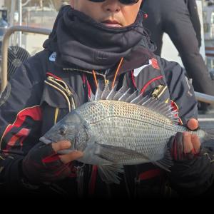 조황, 명성호 갯바위조황