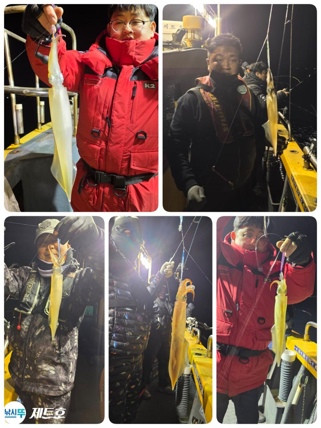 낚시뚜,한치,영일만항,포항 제트호,낚시뚜3