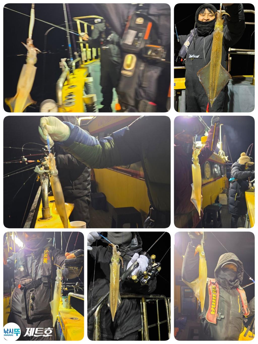 낚시뚜,한치,영일만항,포항 제트호,낚시뚜2