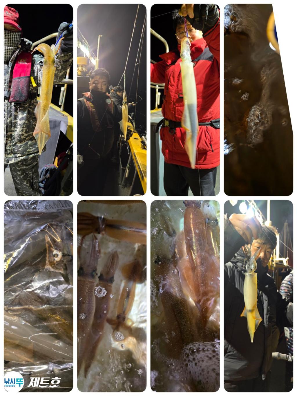 낚시뚜,한치,영일만항,포항 제트호,낚시뚜1