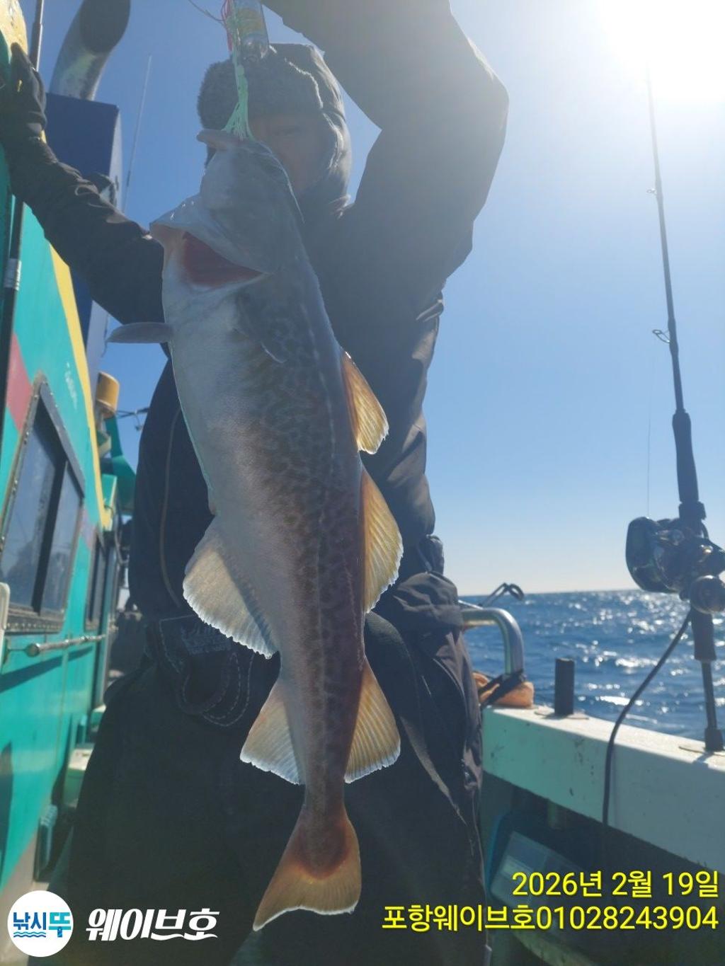 낚시뚜,대구,구룡포항,뉴웨이브호,낚시뚜15