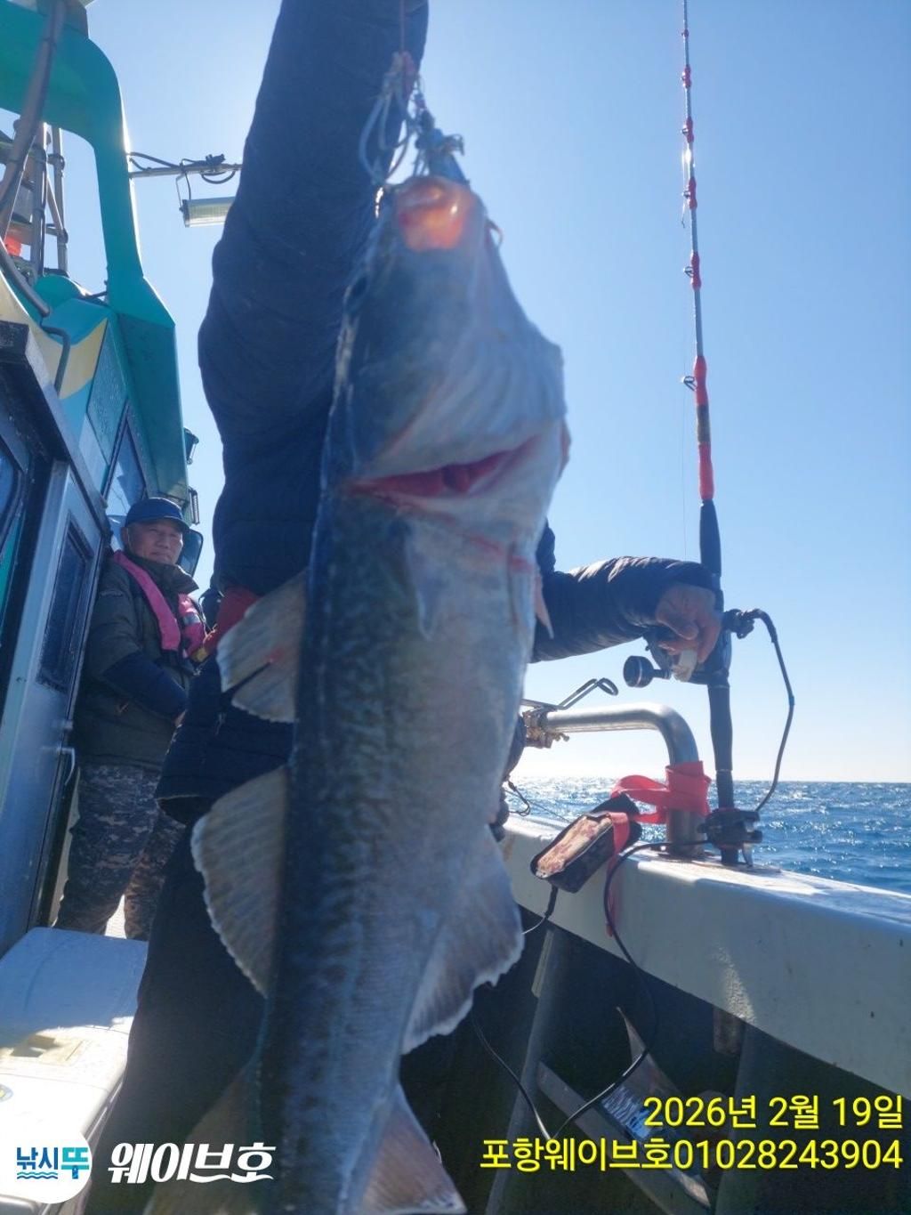 낚시뚜,대구,구룡포항,뉴웨이브호,낚시뚜8