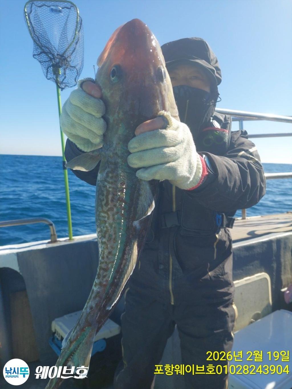 낚시뚜,대구,구룡포항,뉴웨이브호,낚시뚜7