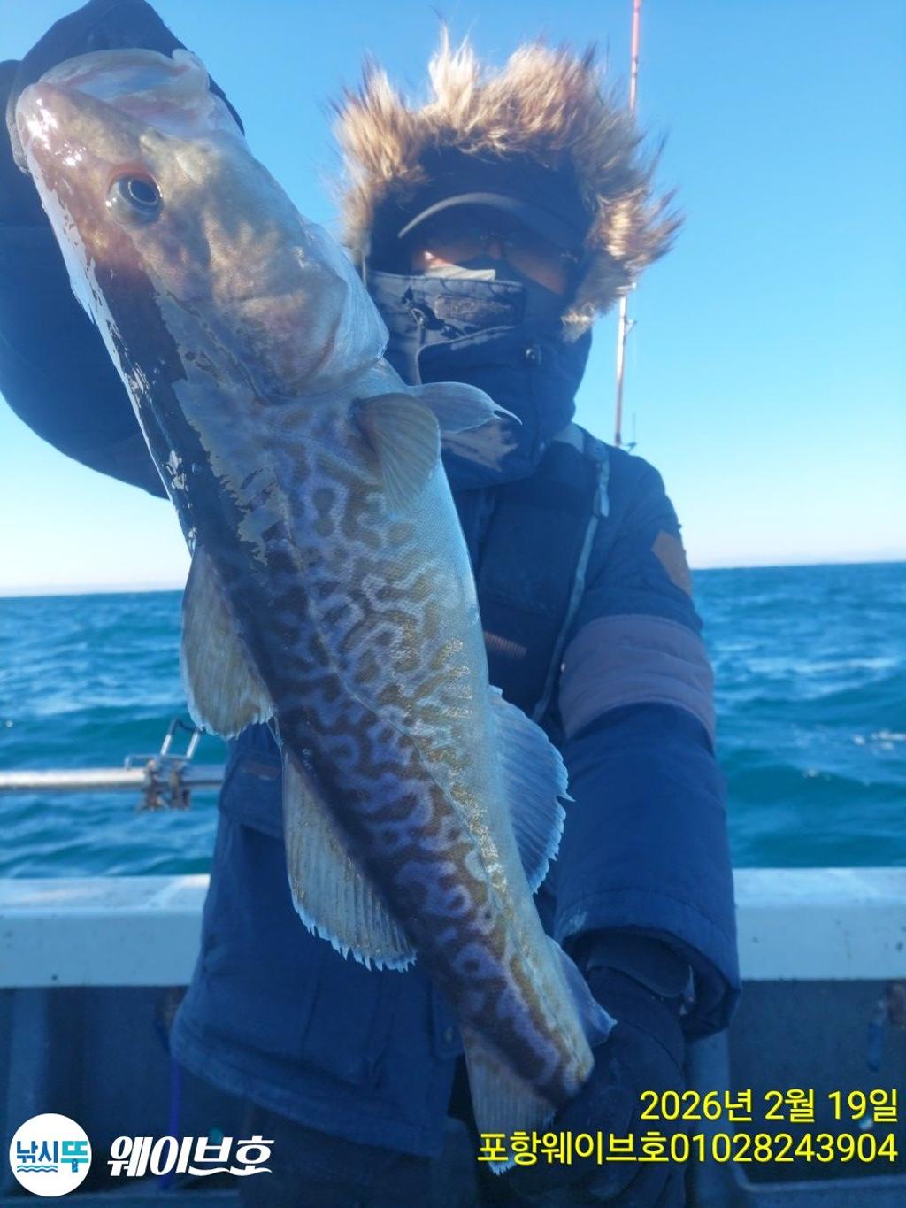 낚시뚜,대구,구룡포항,뉴웨이브호,낚시뚜5