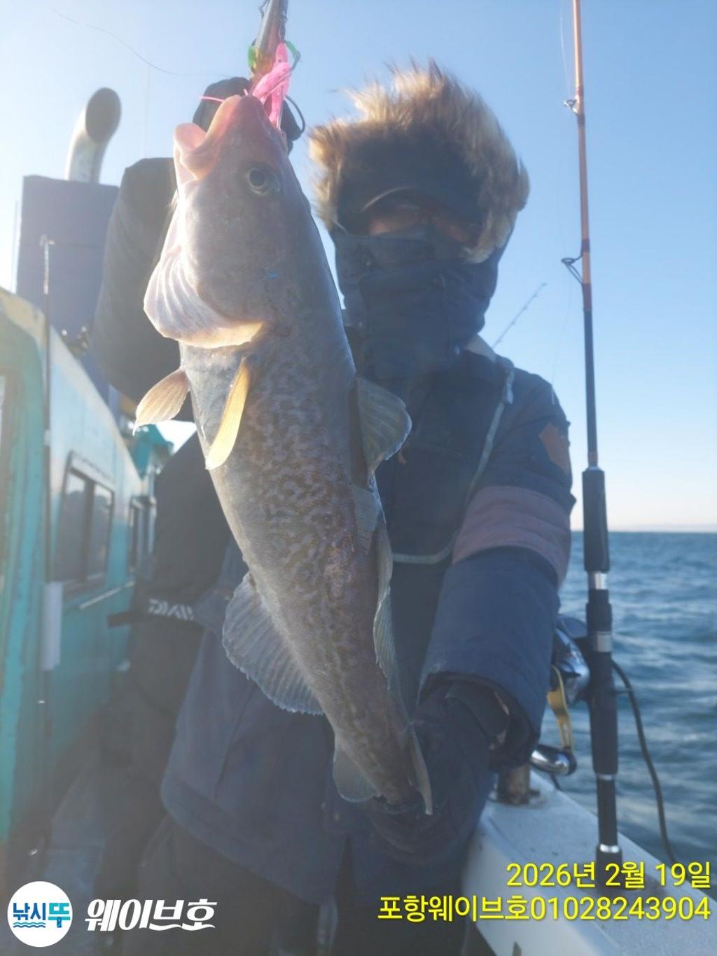 낚시뚜,대구,구룡포항,뉴웨이브호,낚시뚜2