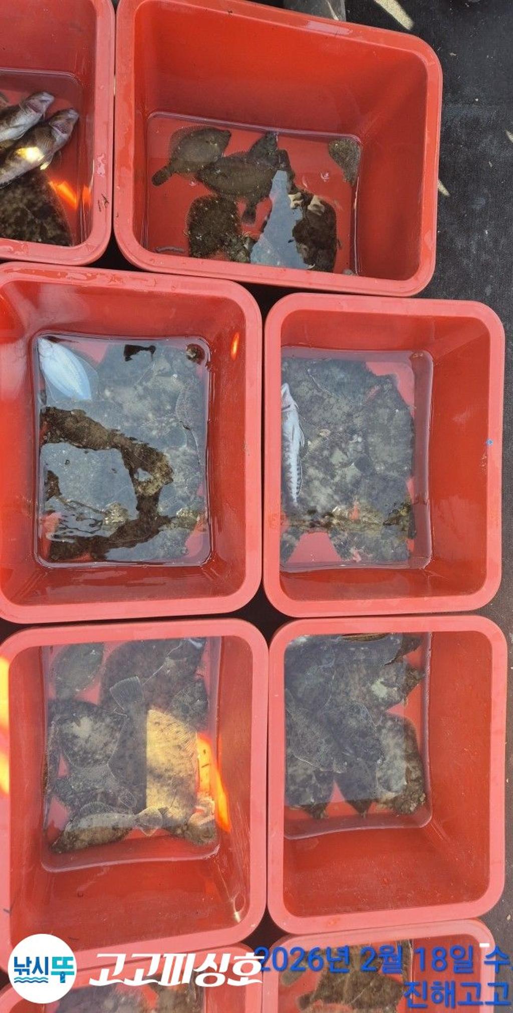 낚시뚜,,속천항(진해),고고피싱호,낚시뚜15