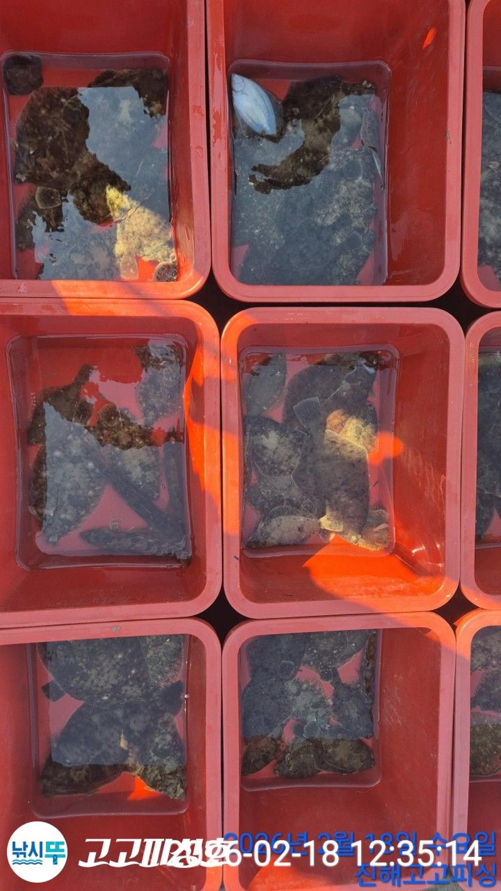 낚시뚜,,속천항(진해),고고피싱호,낚시뚜13