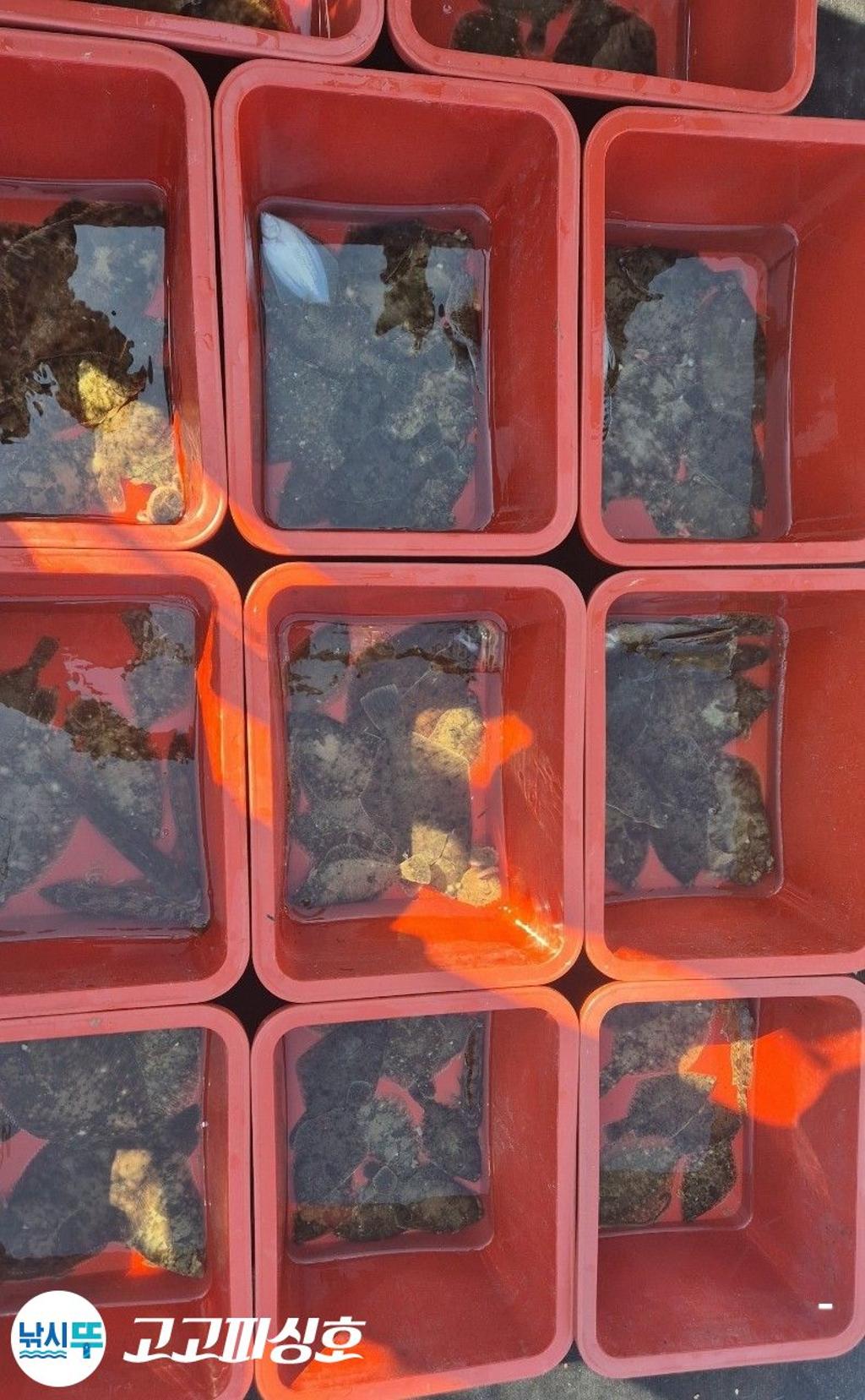 낚시뚜,,속천항(진해),고고피싱호,낚시뚜12