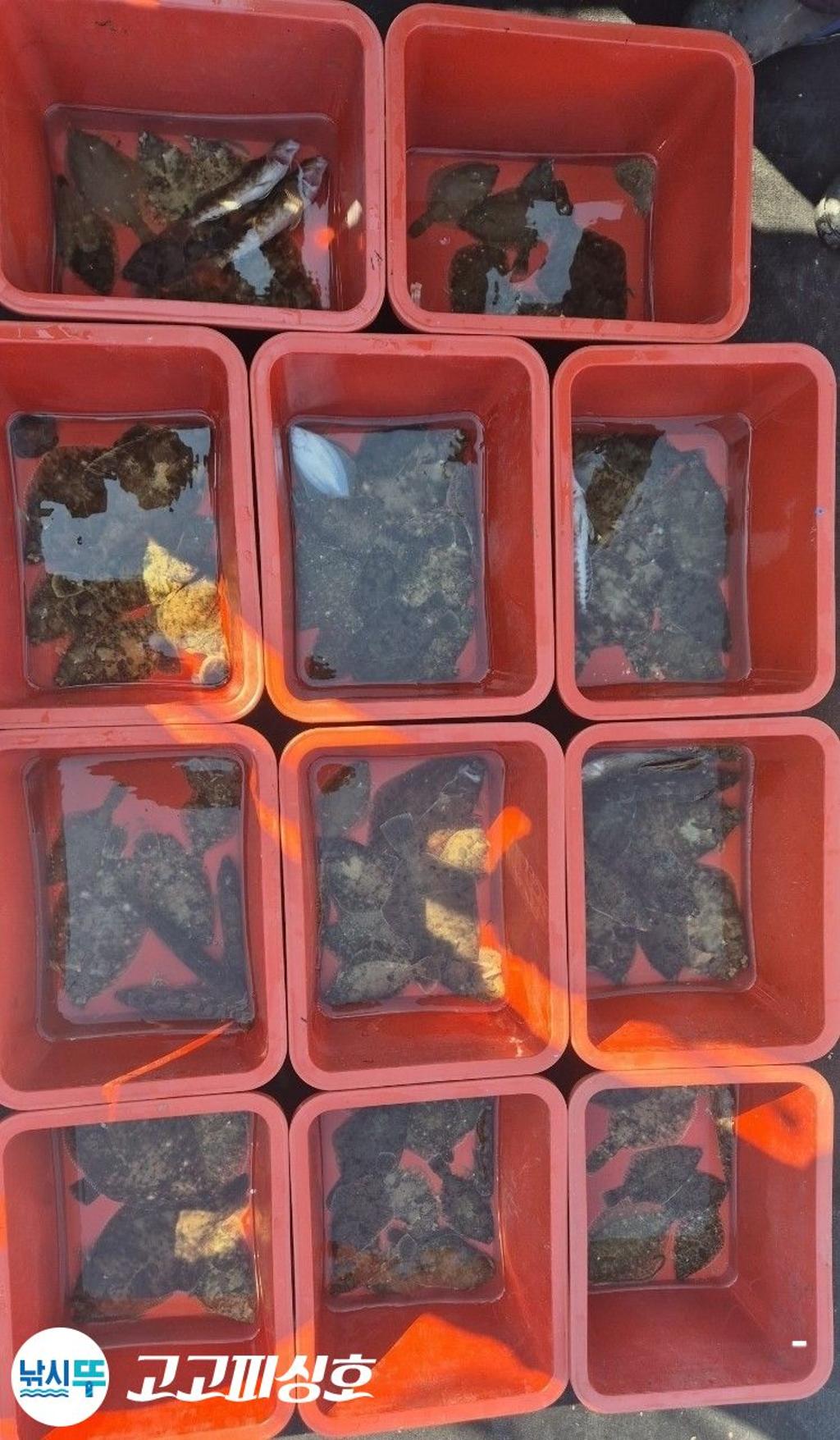 낚시뚜,,속천항(진해),고고피싱호,낚시뚜11