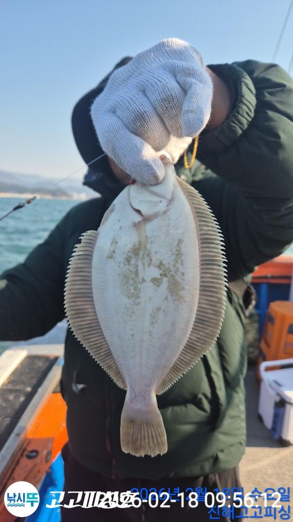 낚시뚜,,속천항(진해),고고피싱호,낚시뚜6