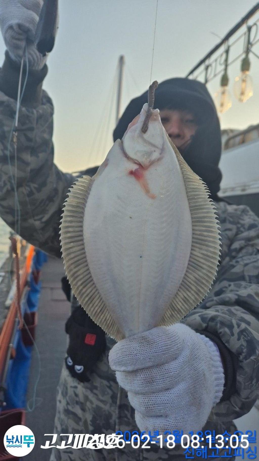 낚시뚜,,속천항(진해),고고피싱호,낚시뚜2