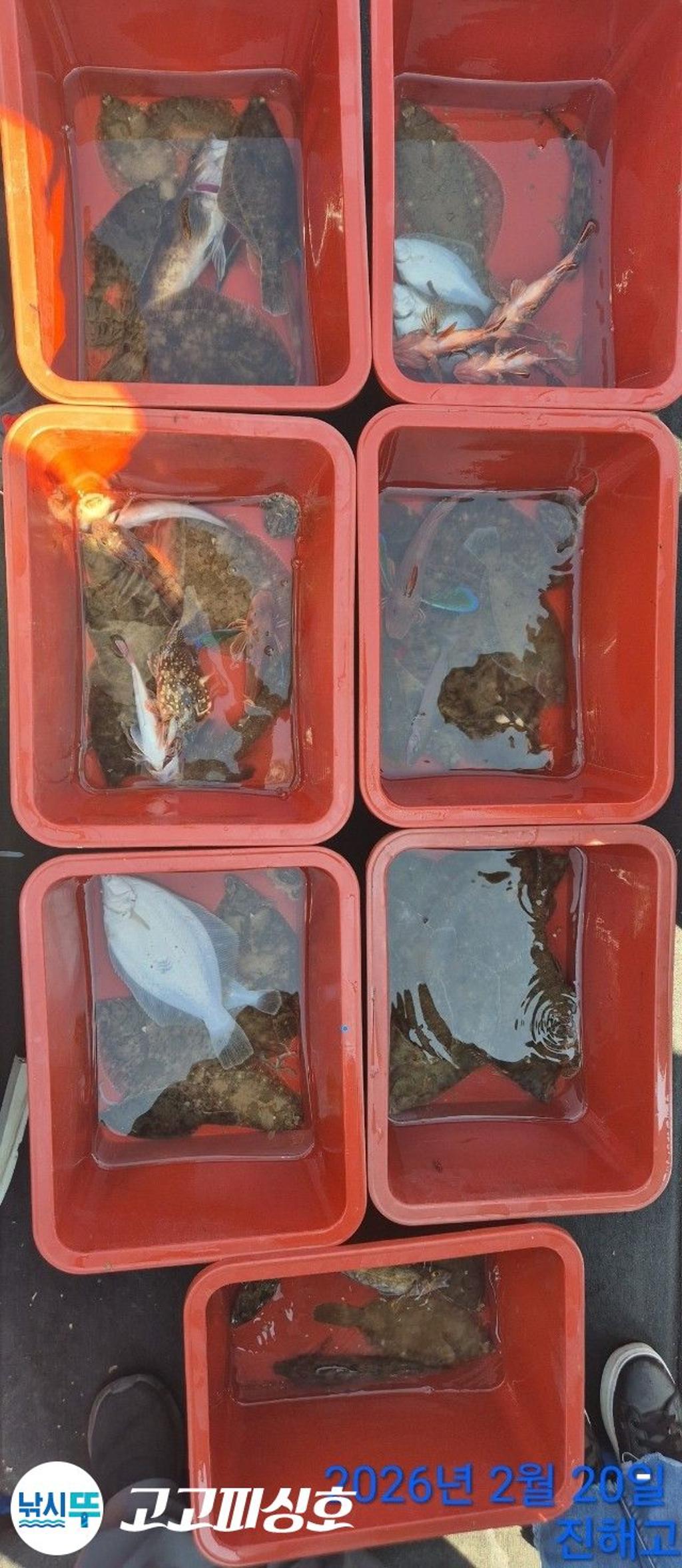 낚시뚜,도다리,속천항(진해),고고피싱호,낚시뚜16