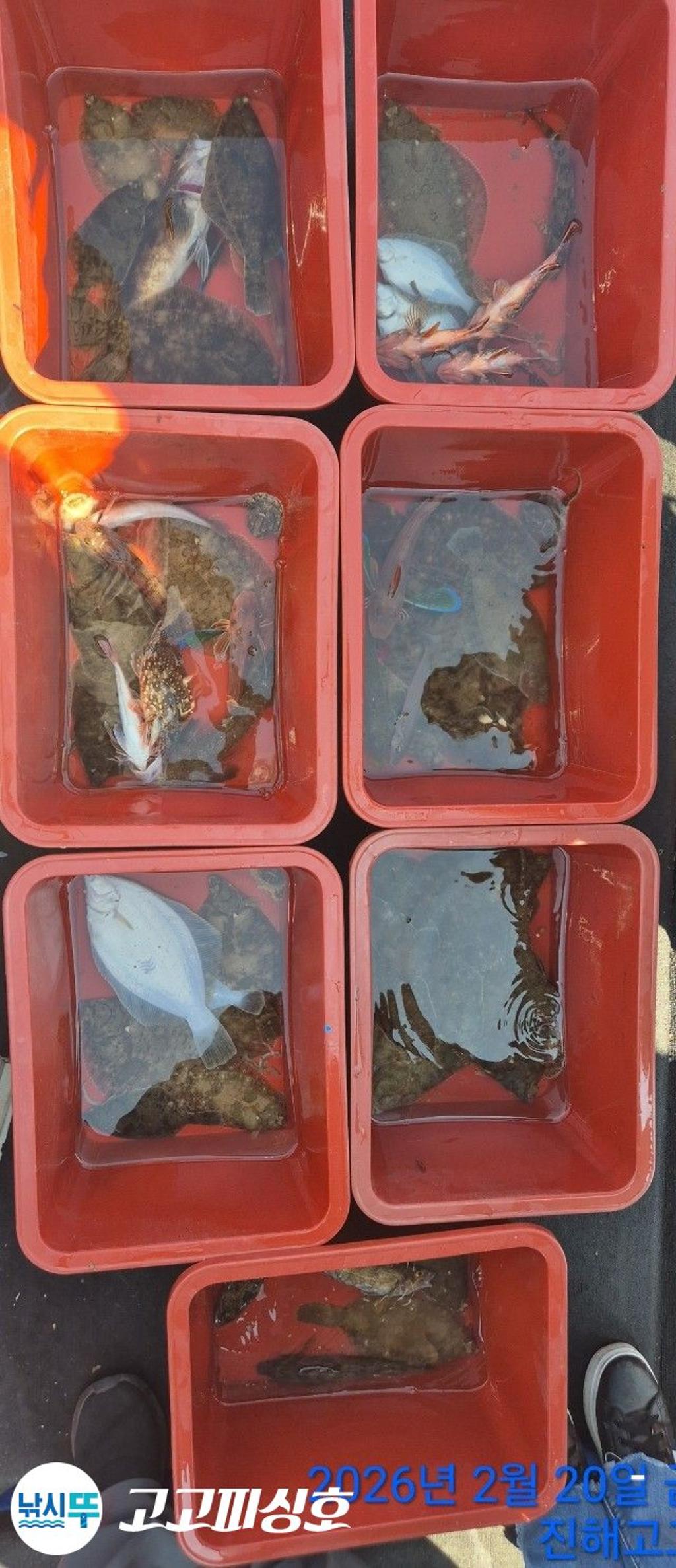 낚시뚜,도다리,속천항(진해),고고피싱호,낚시뚜9