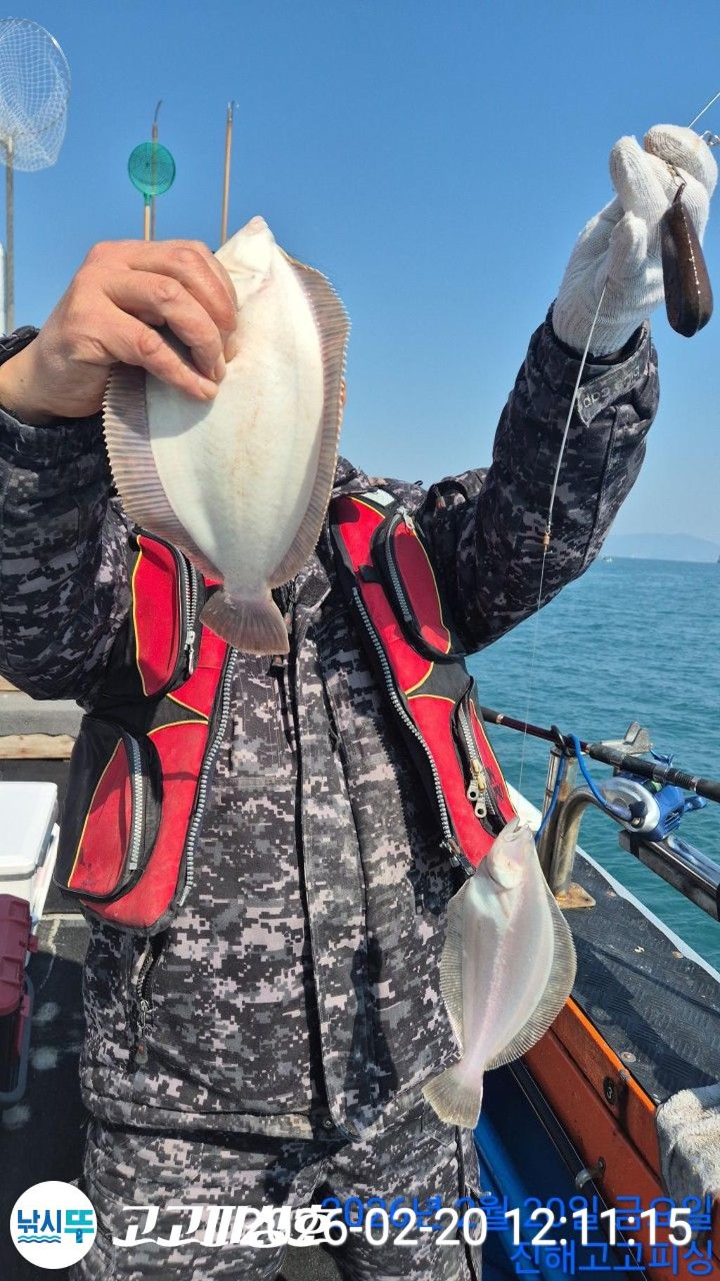 낚시뚜,도다리,속천항(진해),고고피싱호,낚시뚜5