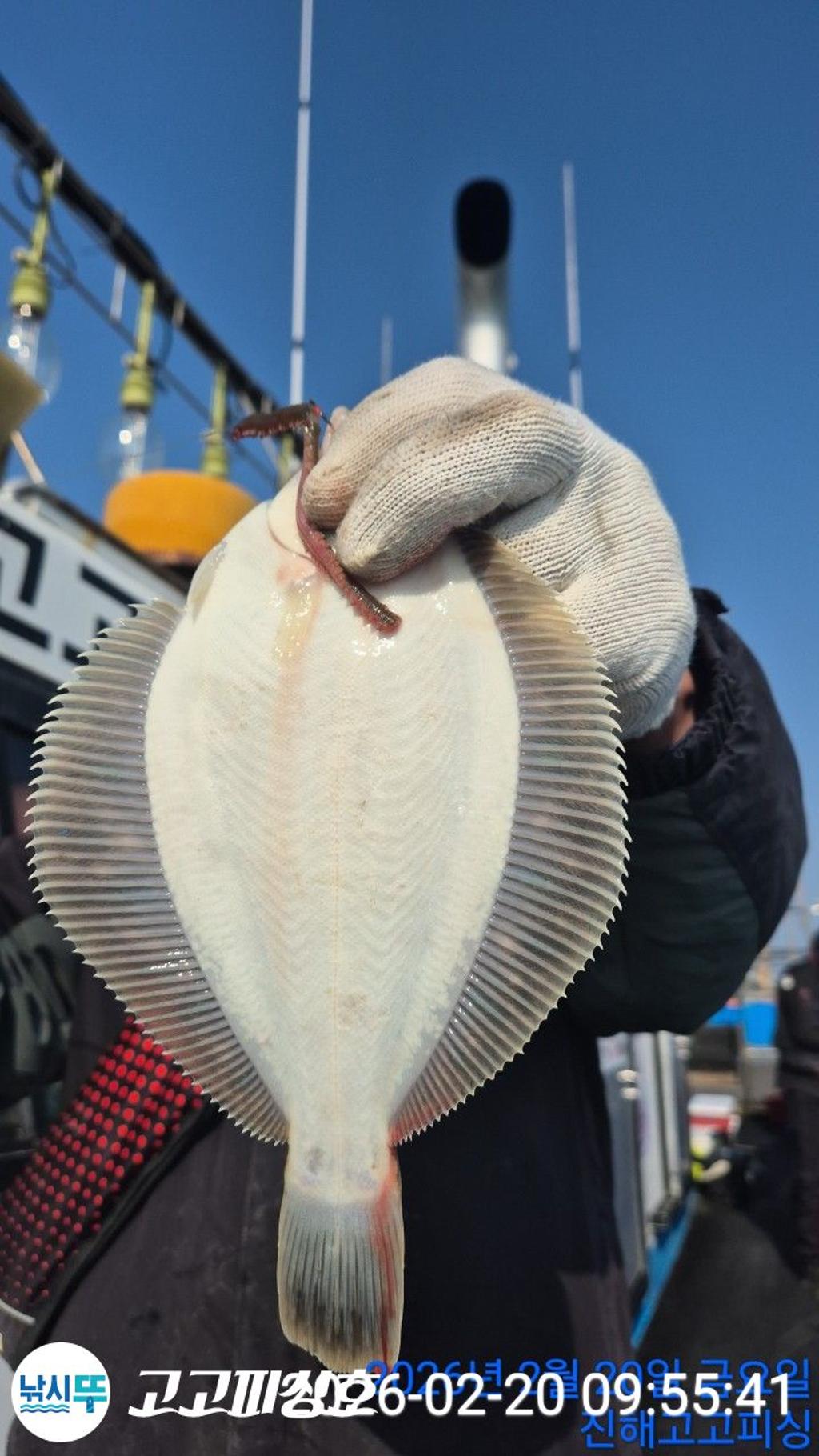 낚시뚜,도다리,속천항(진해),고고피싱호,낚시뚜3