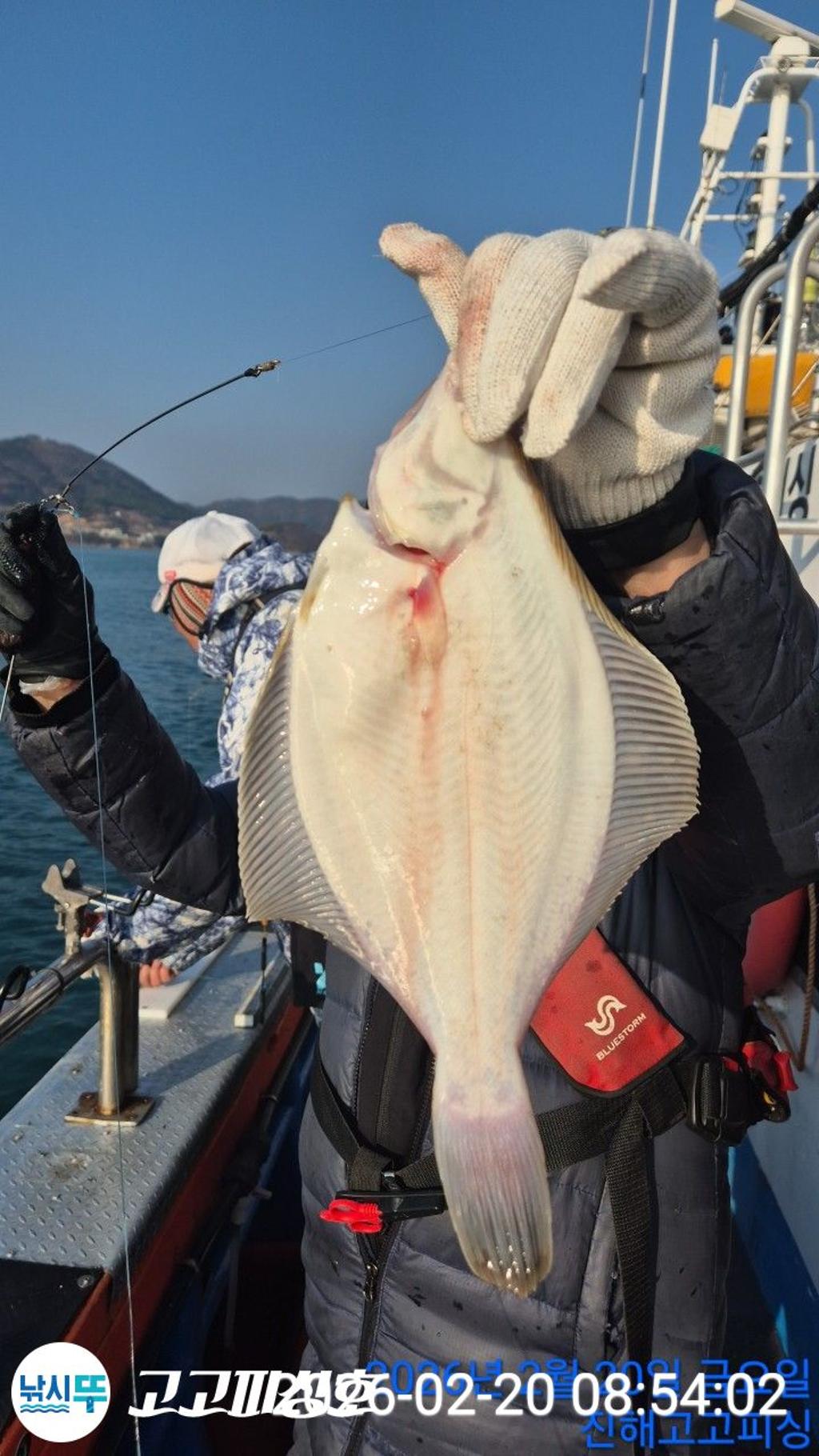 낚시뚜,도다리,속천항(진해),고고피싱호,낚시뚜2