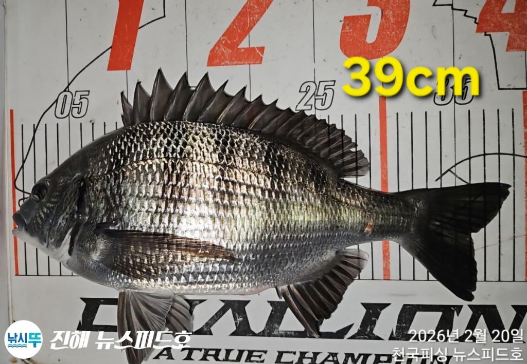 낚시뚜,,진해행암항,진해 뉴스피드호,낚시뚜5