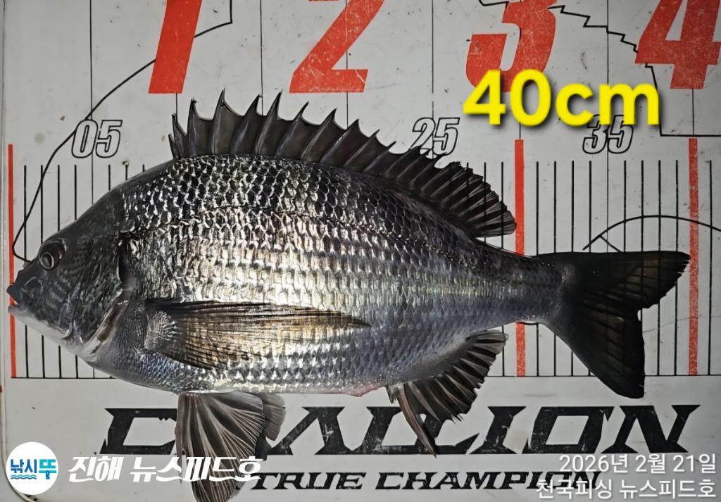 낚시뚜,,진해행암항,진해 뉴스피드호,낚시뚜4