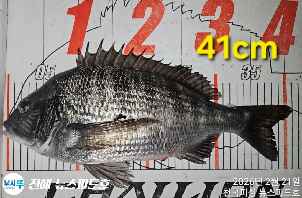 낚시뚜,,진해행암항,진해 뉴스피드호,낚시뚜3