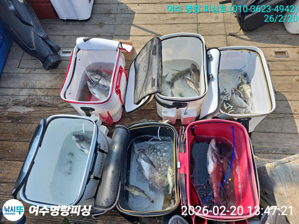 낚시뚜,감성돔,국동항,여수명랑피싱,낚시뚜1