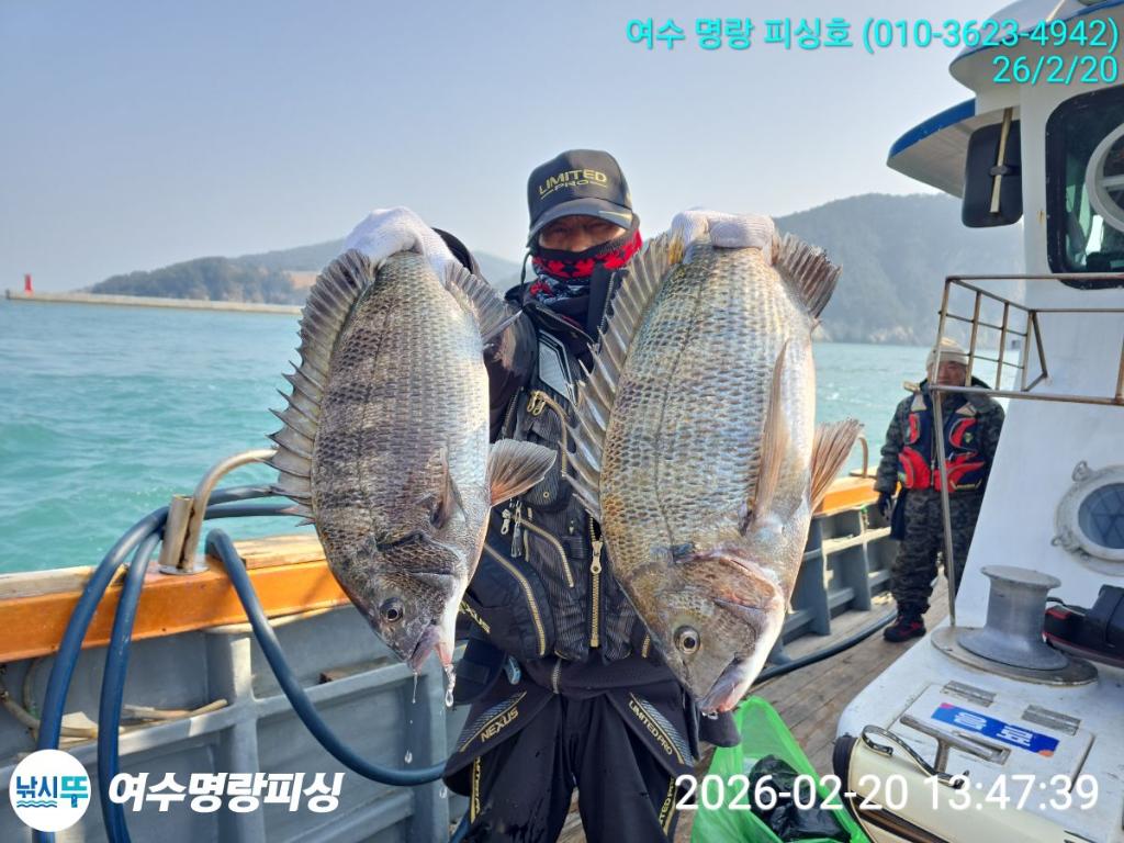 낚시뚜,감성돔,국동항,여수명랑피싱,낚시뚜0