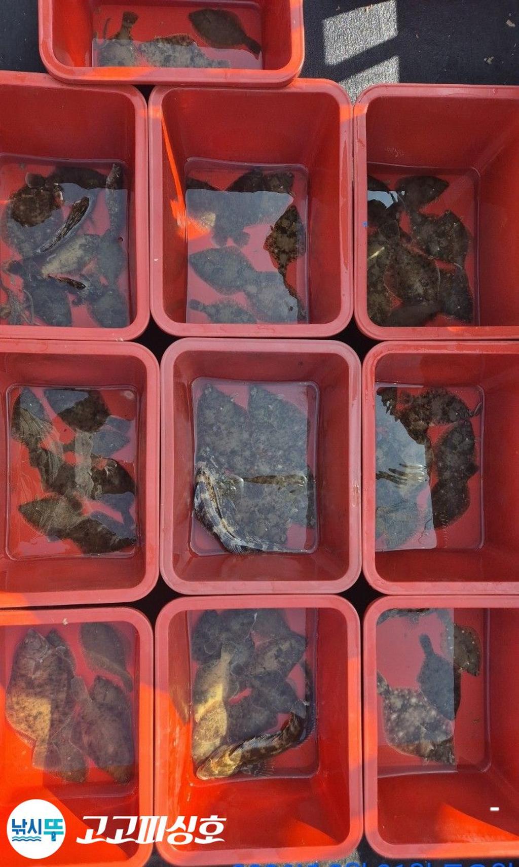 낚시뚜,,속천항(진해),고고피싱호,낚시뚜12