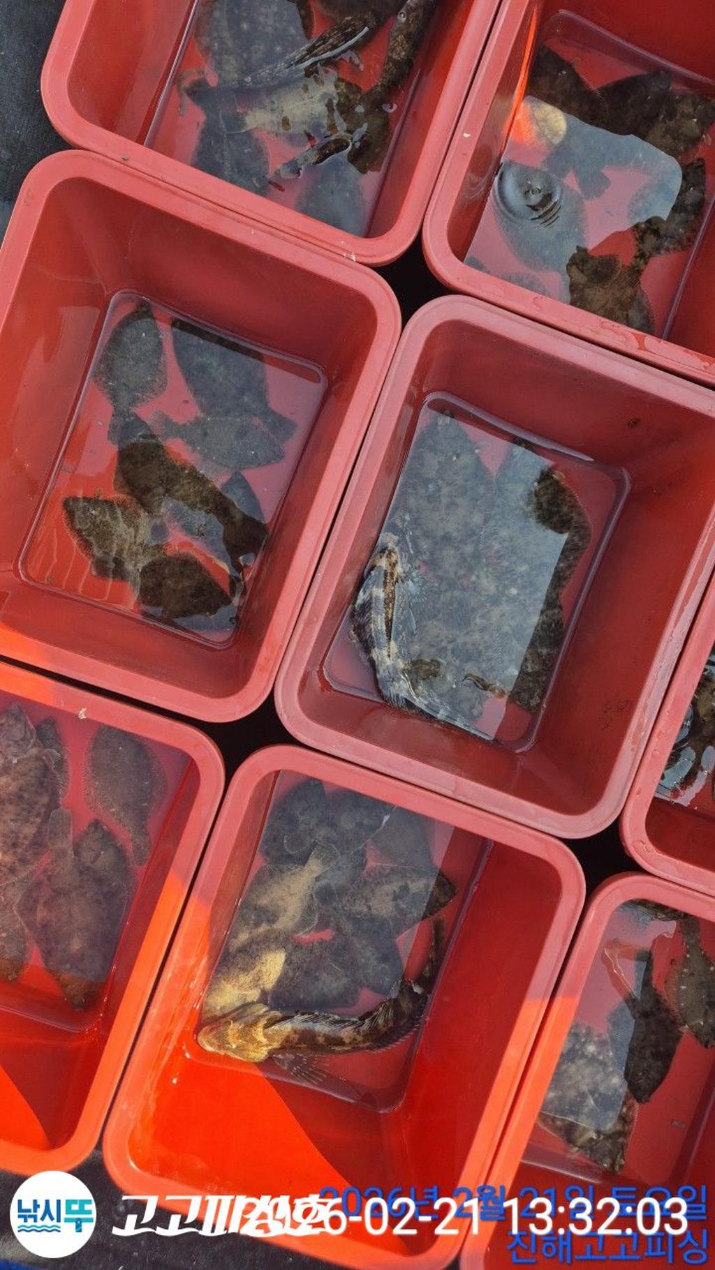 낚시뚜,,속천항(진해),고고피싱호,낚시뚜11