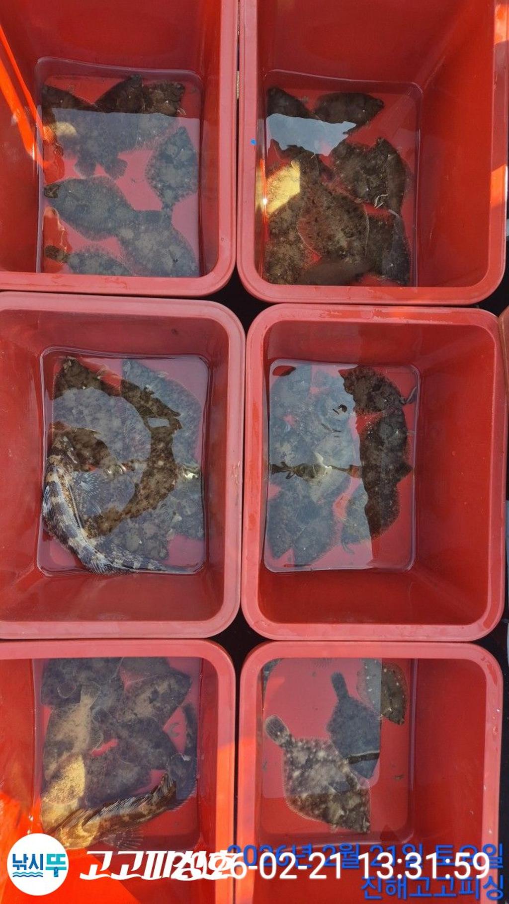 낚시뚜,,속천항(진해),고고피싱호,낚시뚜10