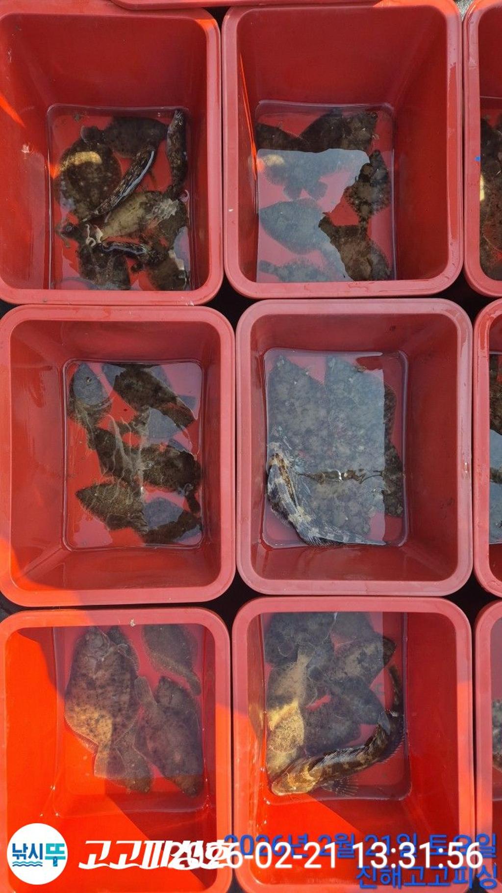 낚시뚜,,속천항(진해),고고피싱호,낚시뚜9