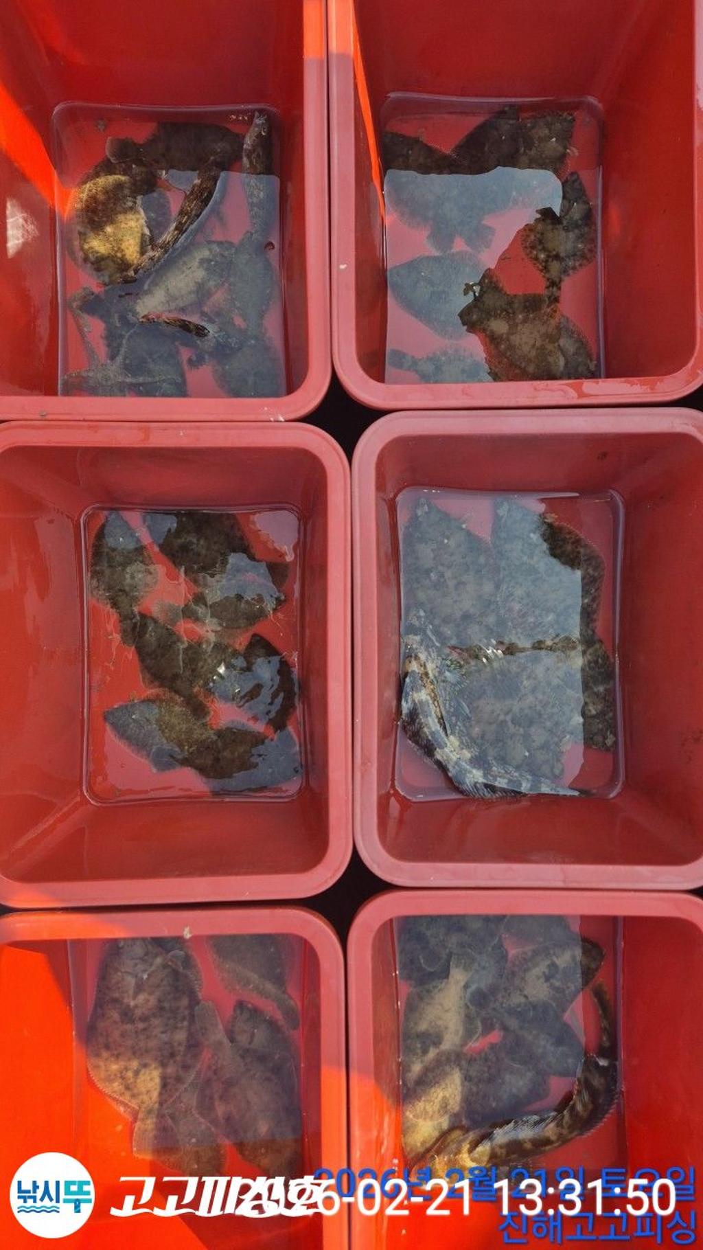 낚시뚜,,속천항(진해),고고피싱호,낚시뚜6