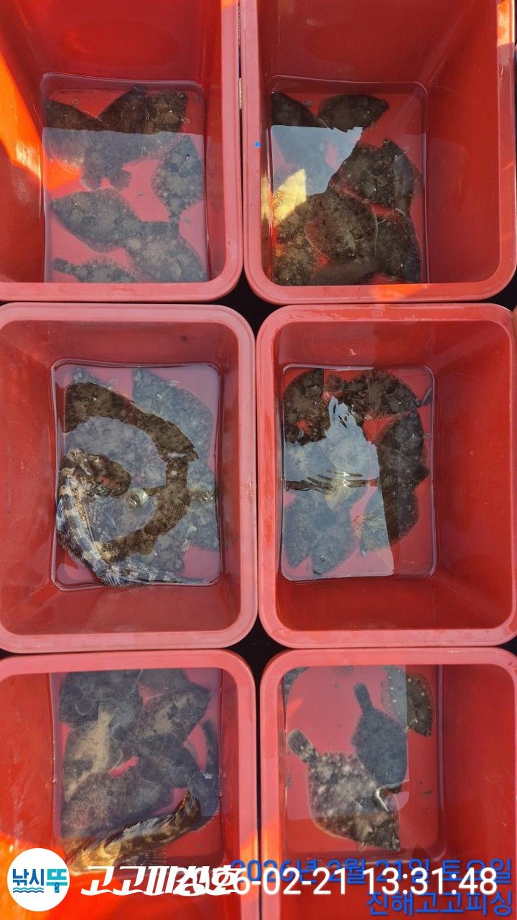 낚시뚜,,속천항(진해),고고피싱호,낚시뚜5