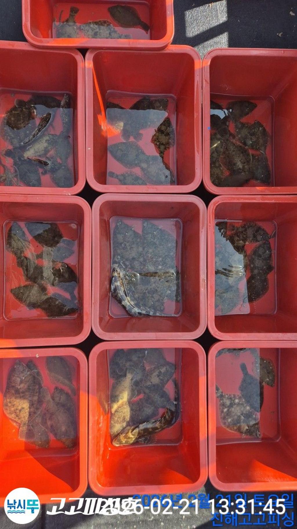 낚시뚜,,속천항(진해),고고피싱호,낚시뚜4