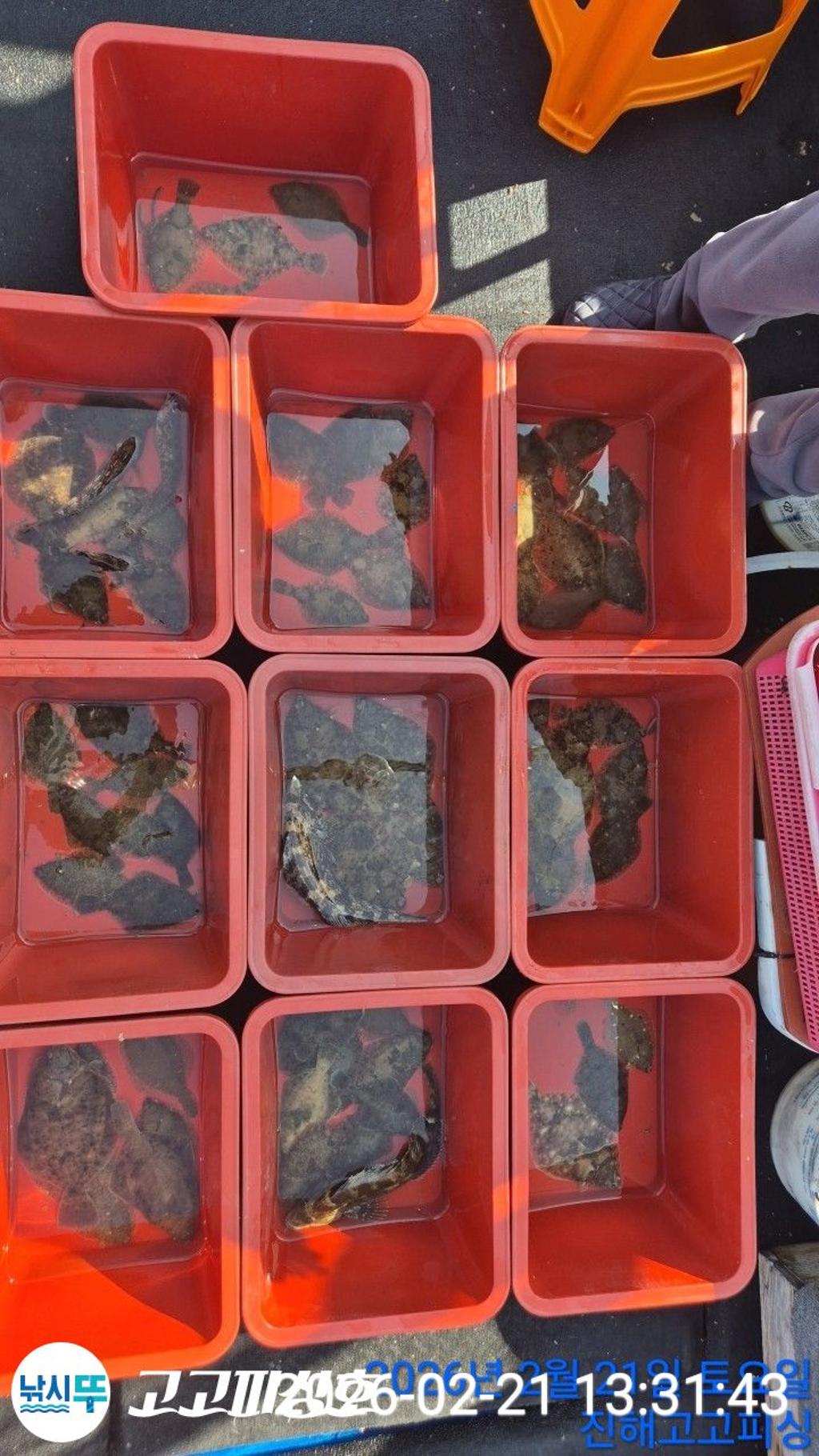 낚시뚜,,속천항(진해),고고피싱호,낚시뚜3