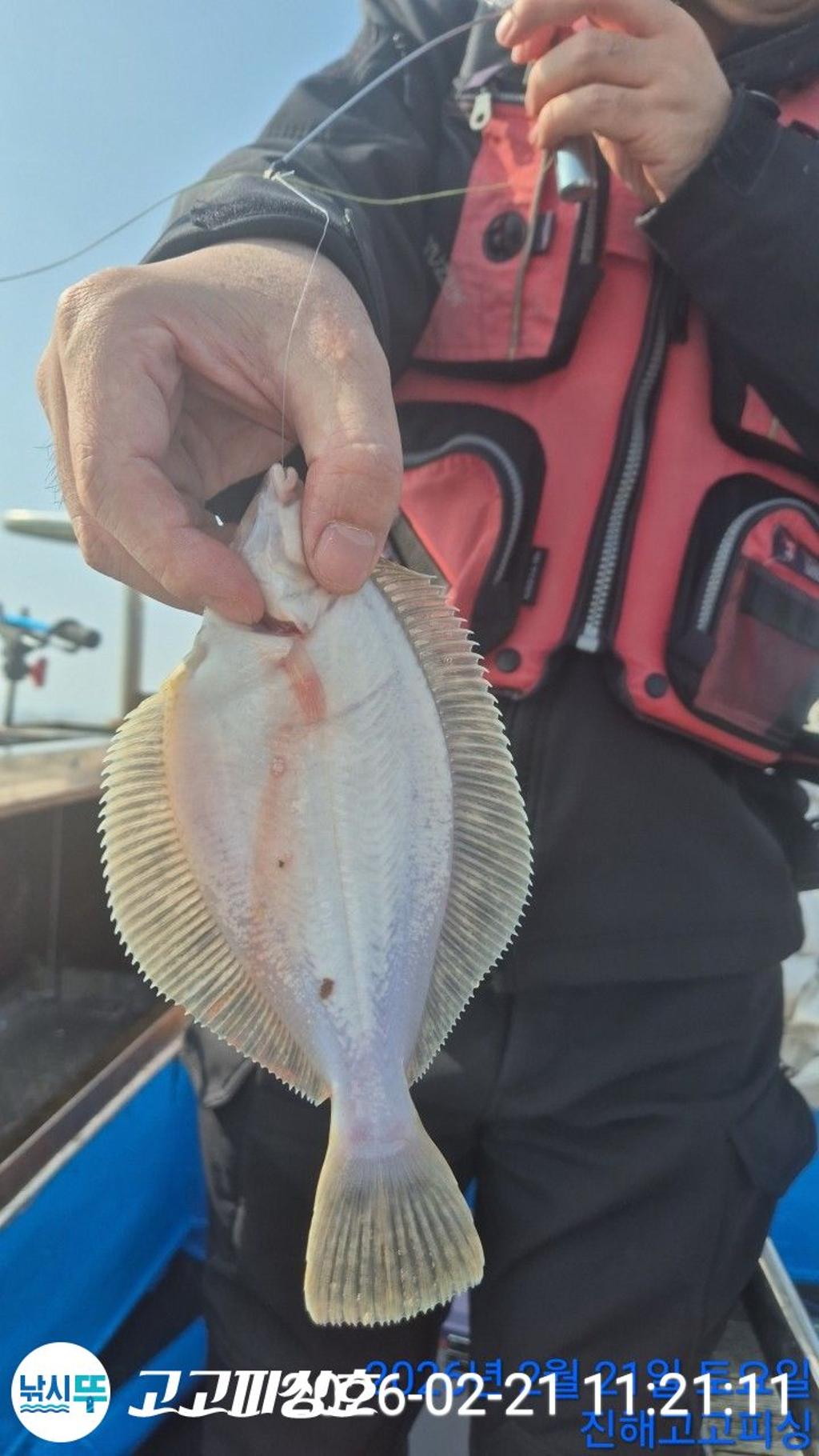 낚시뚜,,속천항(진해),고고피싱호,낚시뚜2