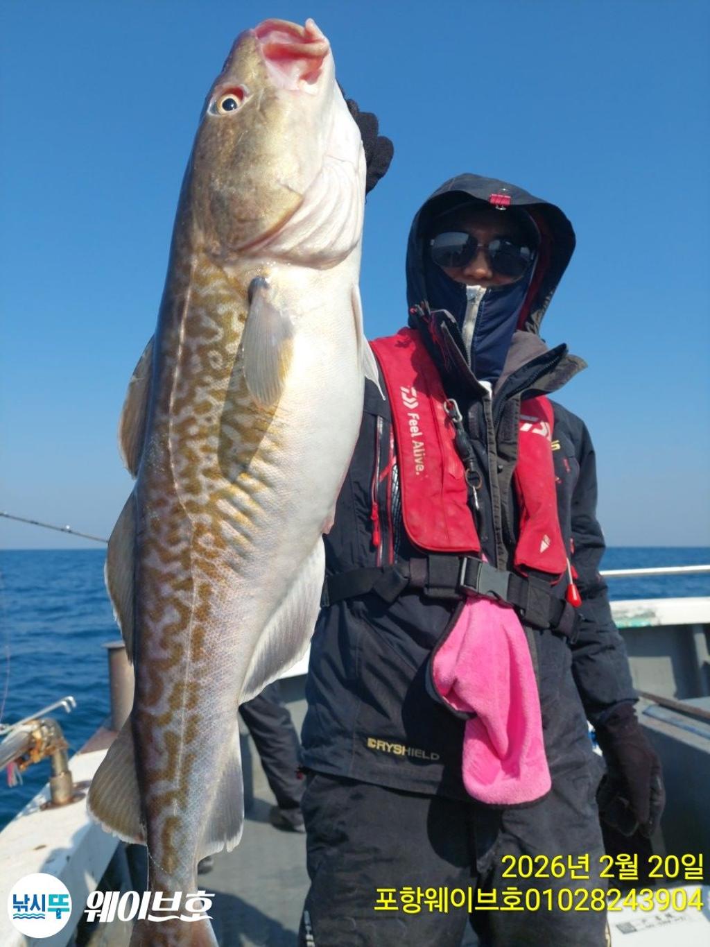 낚시뚜,대구,구룡포항,뉴웨이브호,낚시뚜12