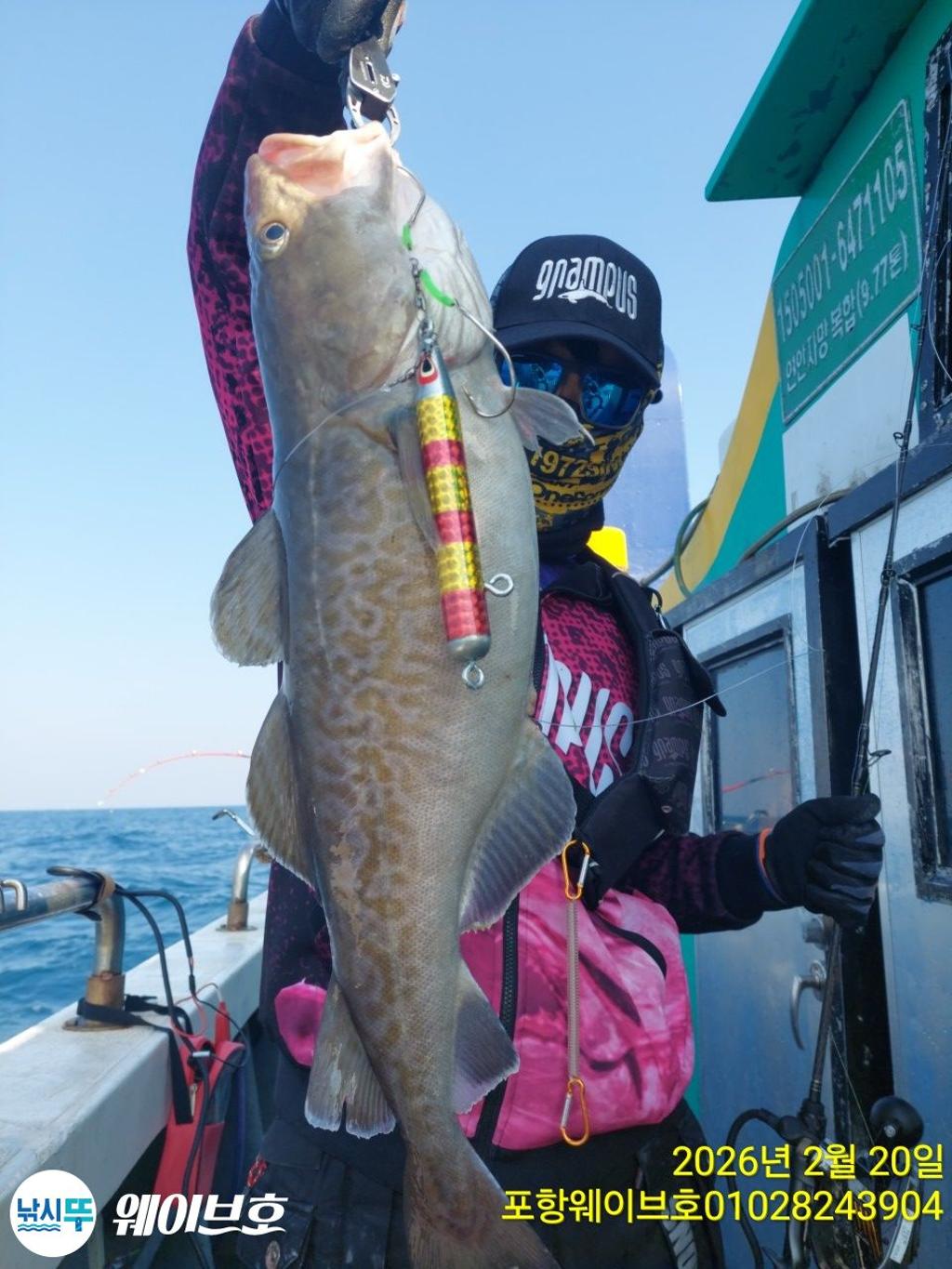 낚시뚜,대구,구룡포항,뉴웨이브호,낚시뚜6
