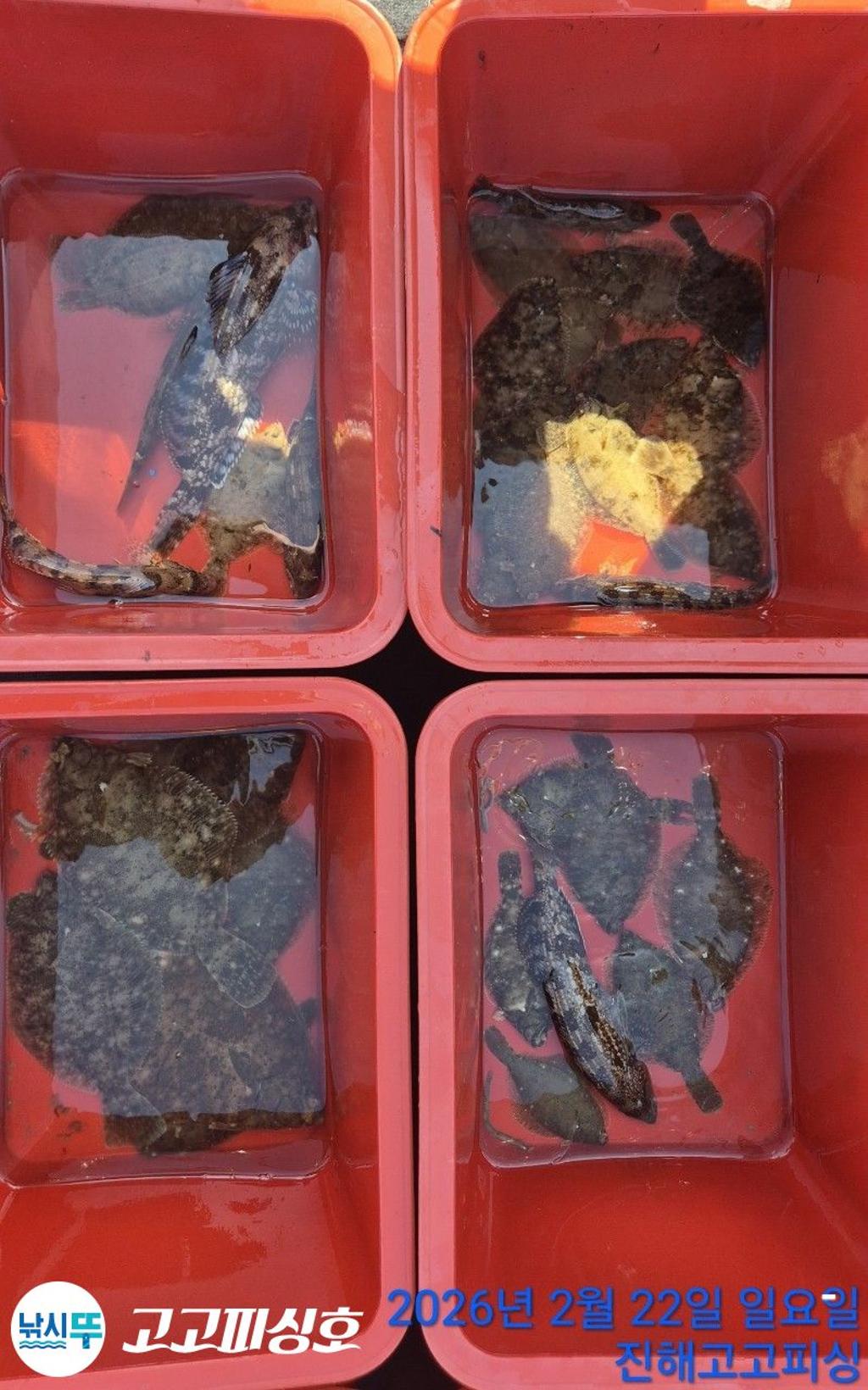 낚시뚜,도다리,속천항(진해),고고피싱호,낚시뚜12