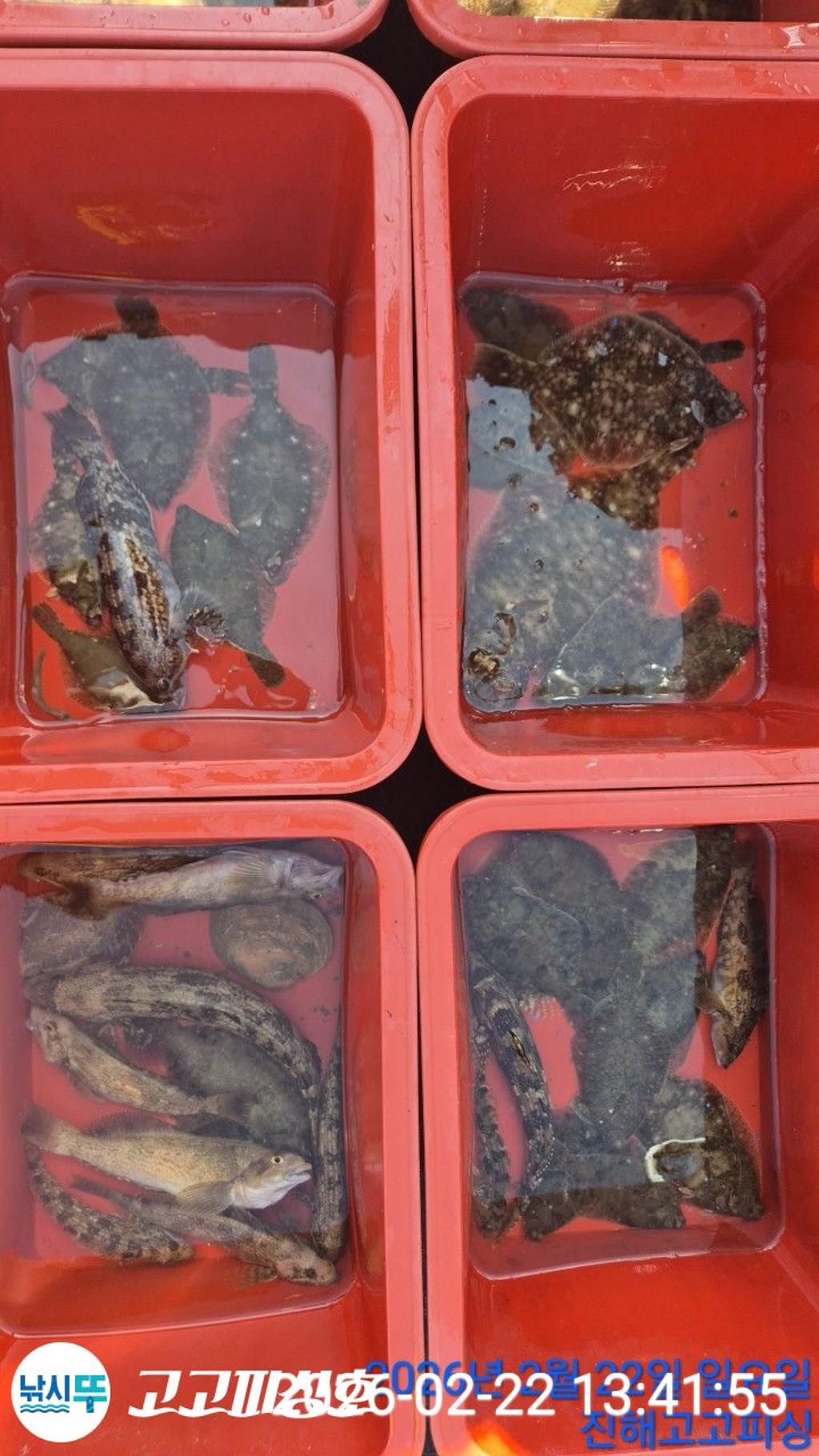 낚시뚜,도다리,속천항(진해),고고피싱호,낚시뚜11