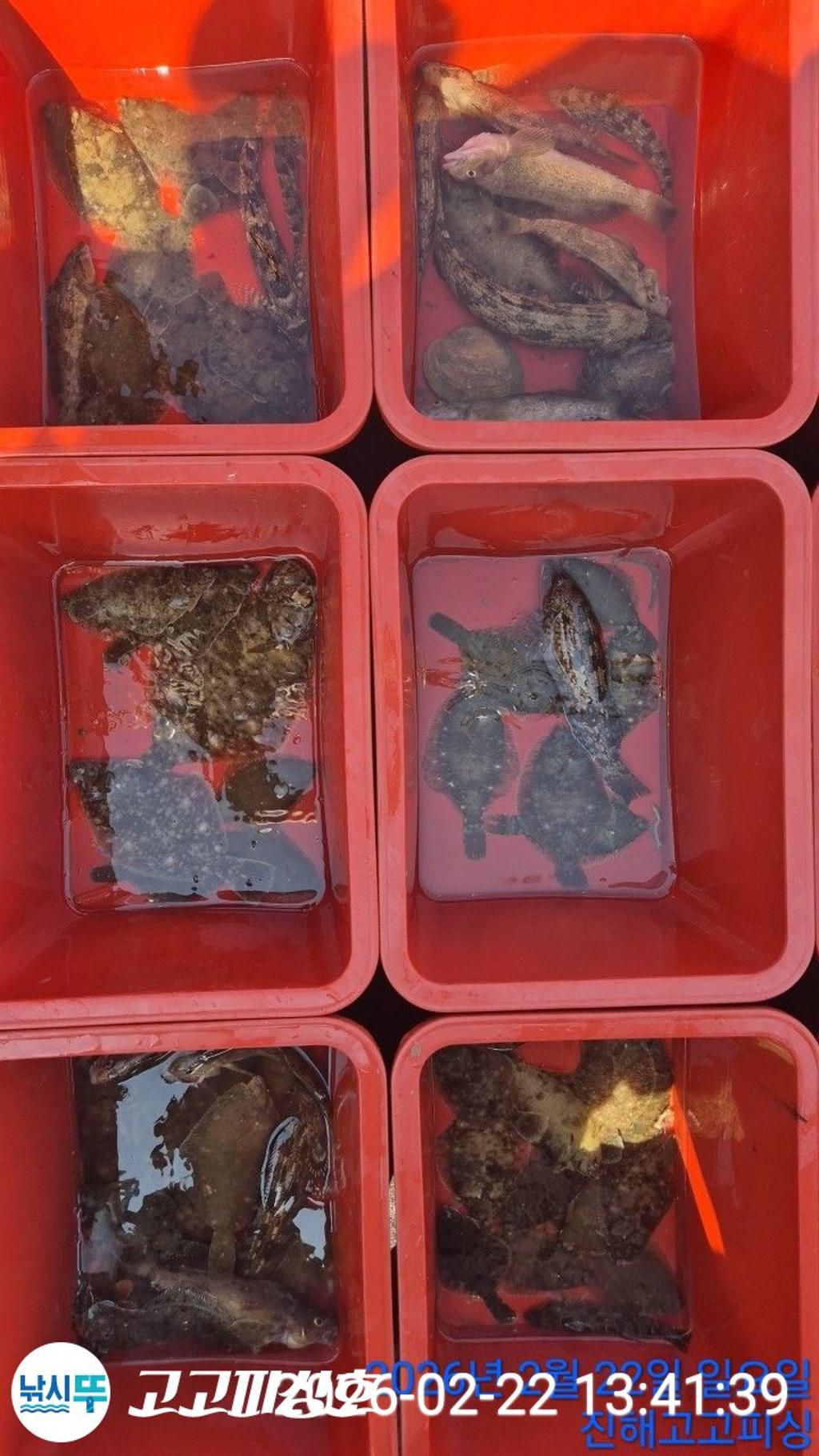 낚시뚜,도다리,속천항(진해),고고피싱호,낚시뚜9