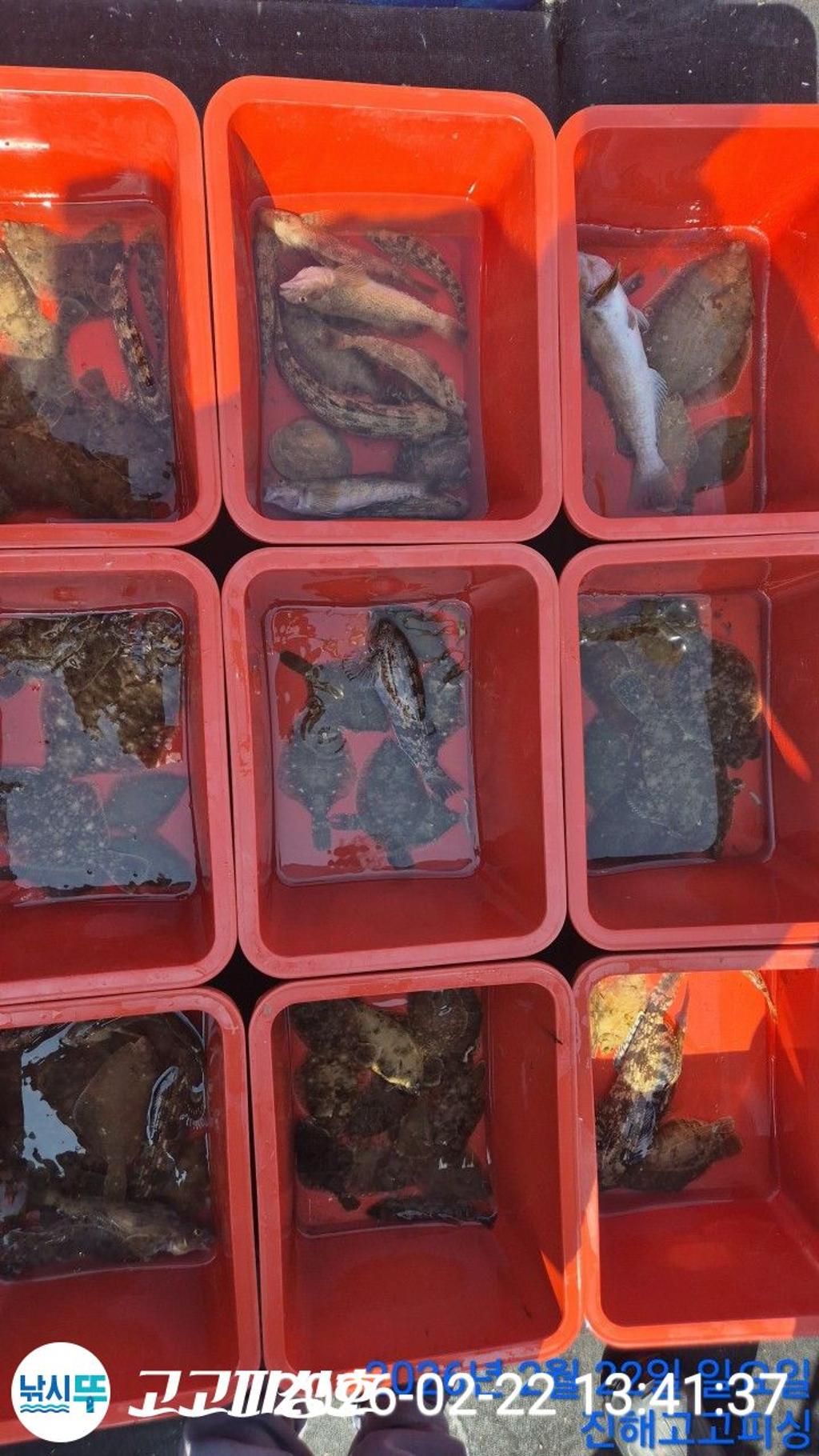 낚시뚜,도다리,속천항(진해),고고피싱호,낚시뚜8