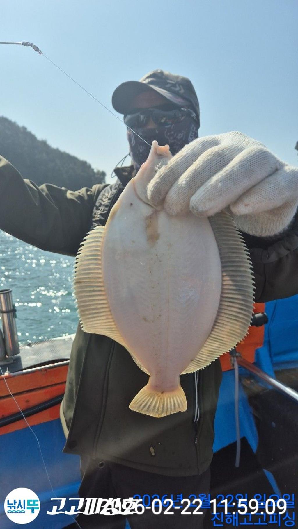 낚시뚜,도다리,속천항(진해),고고피싱호,낚시뚜3