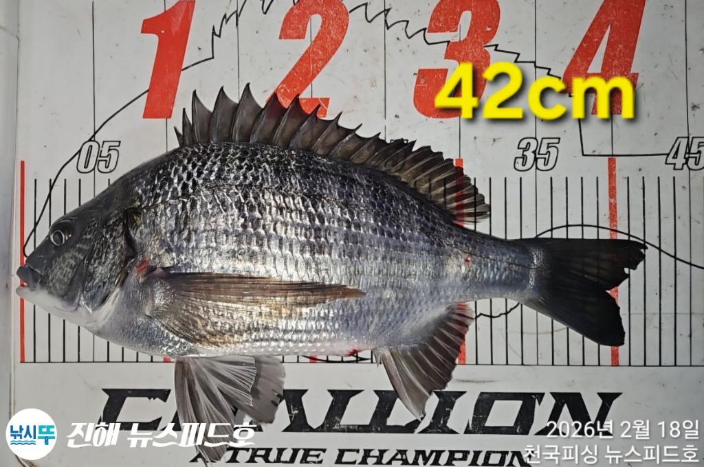 낚시뚜,,진해행암항,진해 뉴스피드호,낚시뚜27