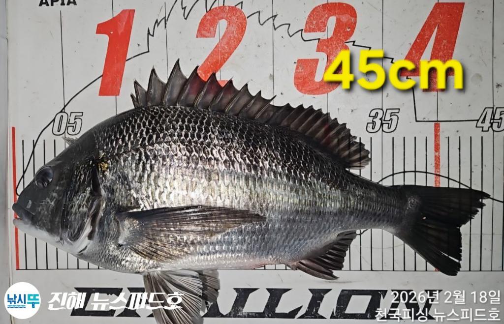 낚시뚜,,진해행암항,진해 뉴스피드호,낚시뚜25